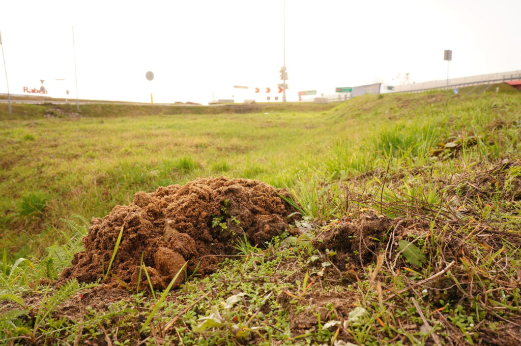 A large mound of excavated brown dirt sits in the middle of a grassy field near a roadside.
