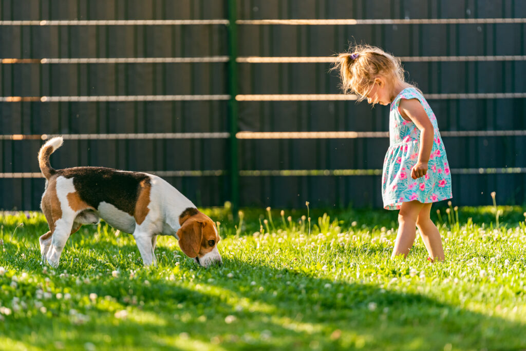 A young girl and her beagle dog play safely in a grassy backyard, illustrating the importance of responsible pest control placement.