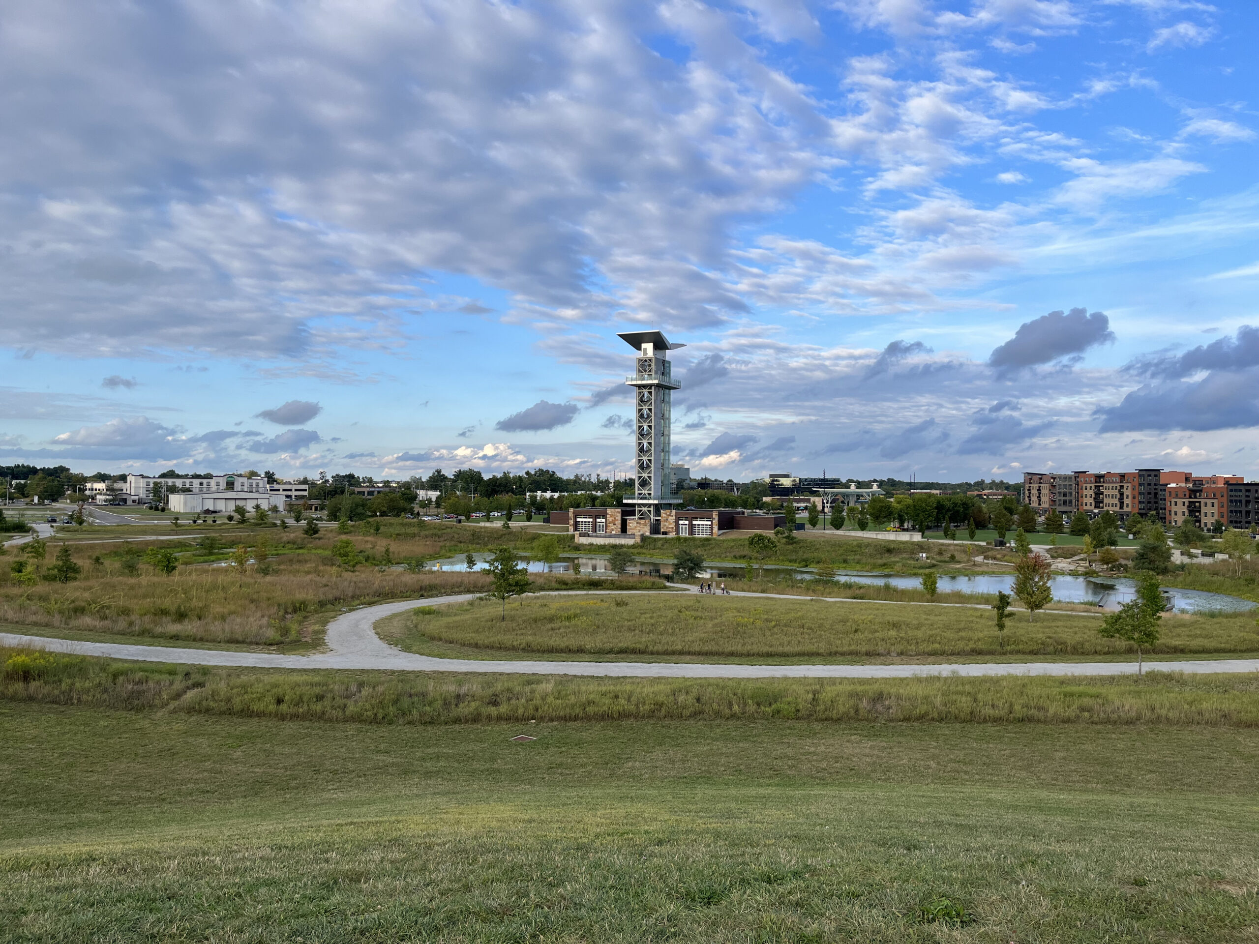 Mole Treatment and Removal in Blue Ash, OH