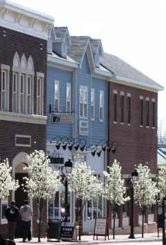 Mole Treatment and Removal in Montgomery, OH