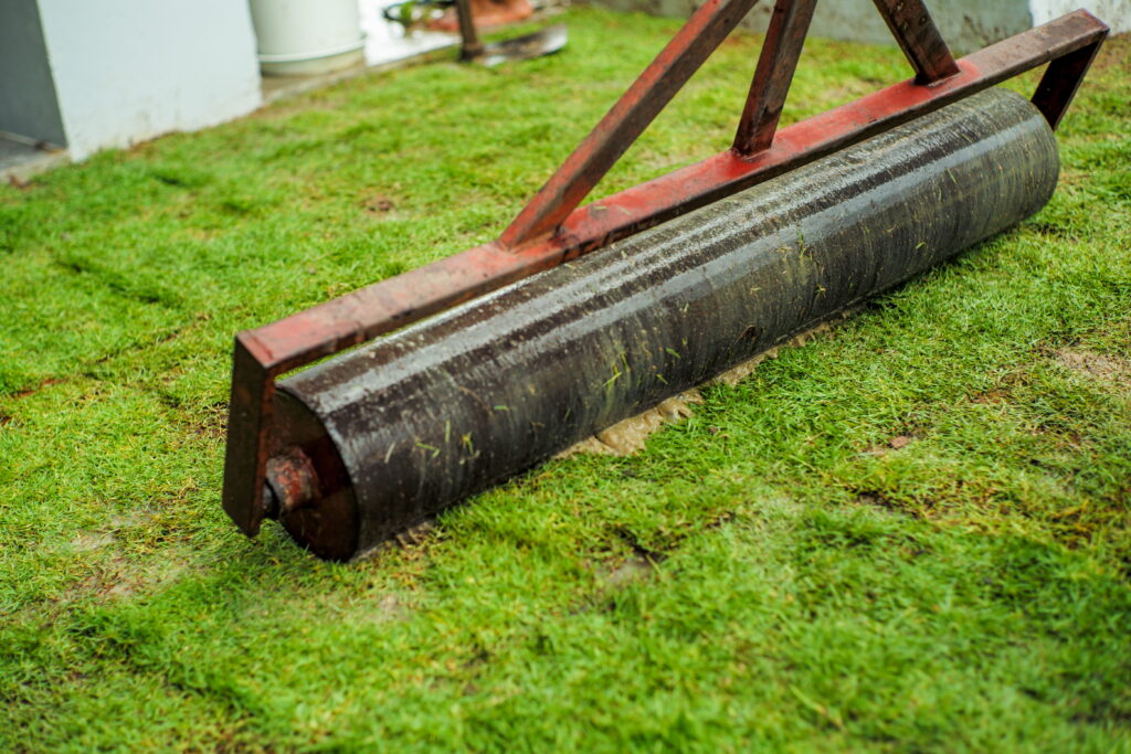 A heavy steel roller presses down raised ridges on damp green grass as a homeowner tackles lawn repair after moles in SW Ohio.