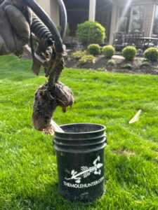 A hand holds mole tunnel soil and debris above The Mole Hunter container in a Cincinnati backyard.