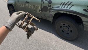 A gloved hand holds a metal mole trap containing a captured mole, with a The Mole Hunter branded truck visible in the background.