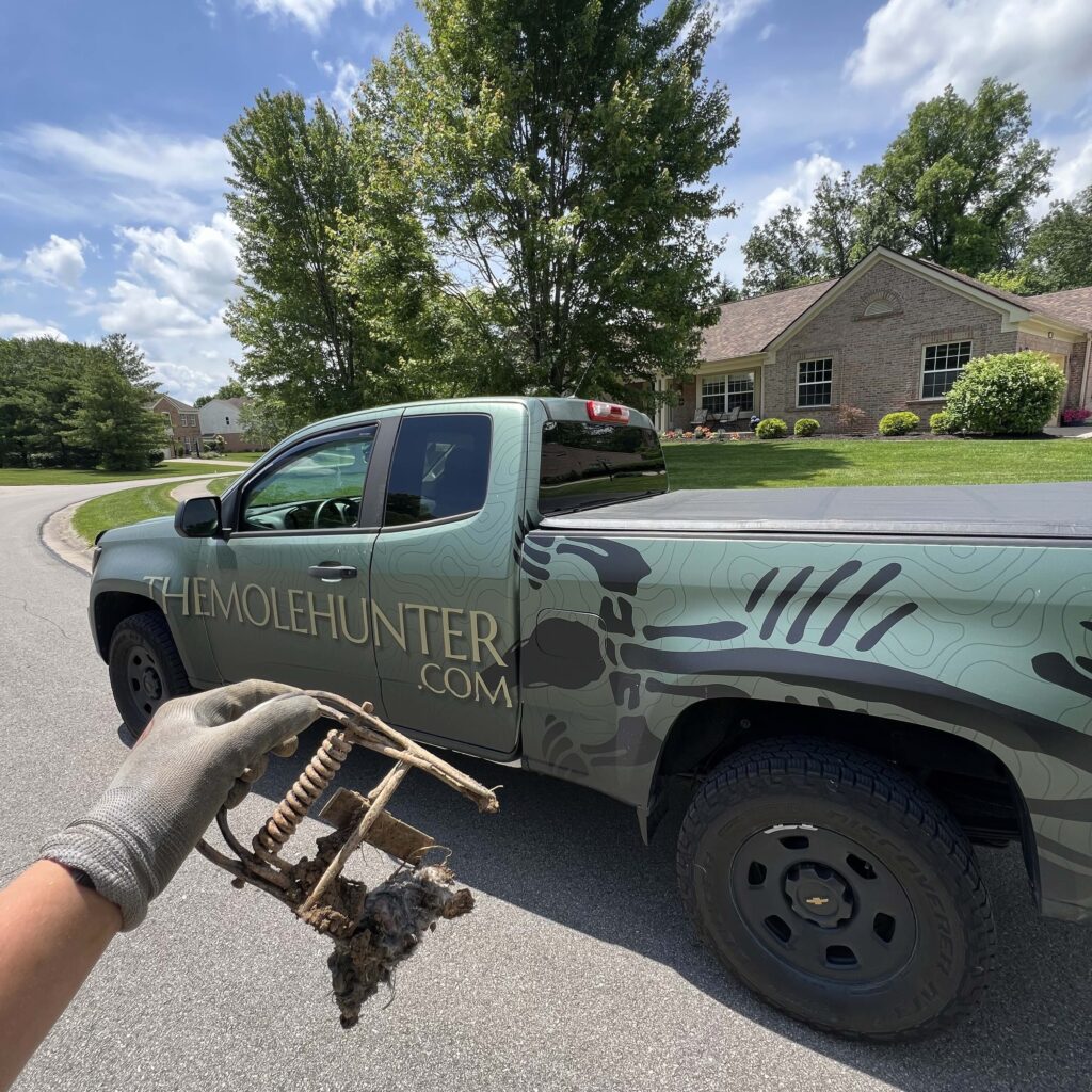 A gloved hand holds a metal mole trap in front of a green The Mole Hunter service truck parked on a residential street.