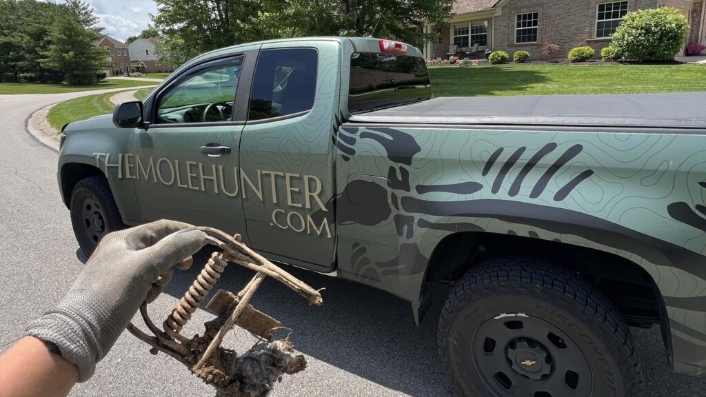A gloved hand holds a muddy old spring trap with a mole caught in it in front of a green pickup truck marked The Mole Hunter dot com, parked on a driveway with a brick house behind it.