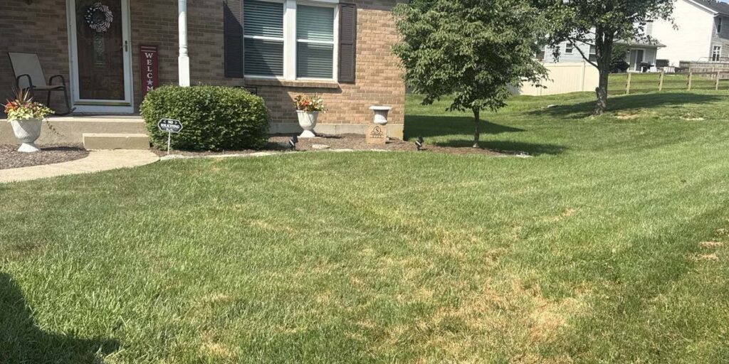A residential front yard showing patches of brown, thinning grass that may indicate mole activity.